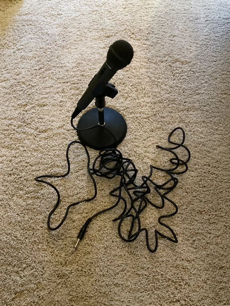 Microphone